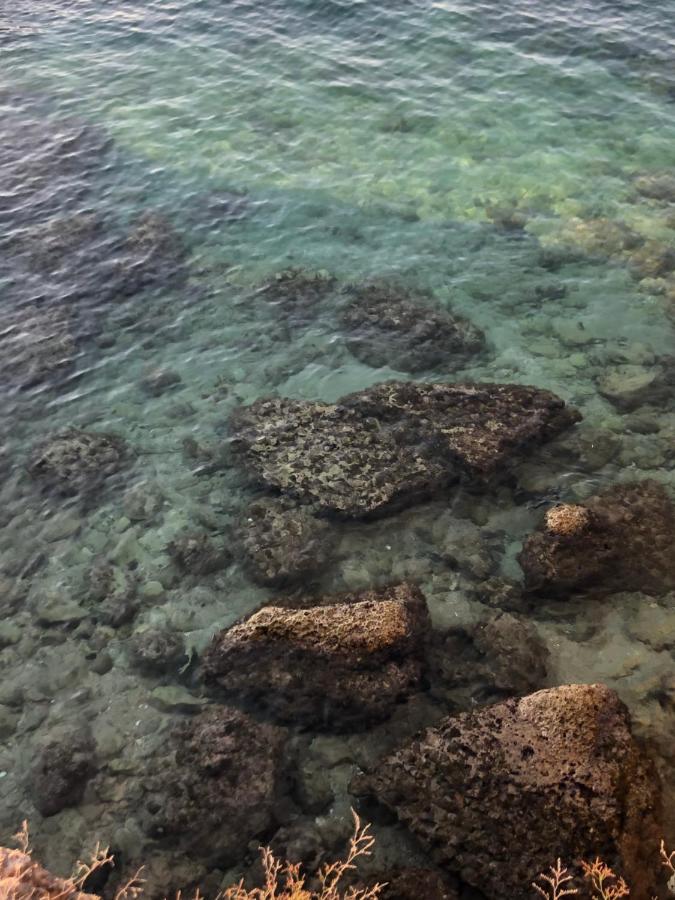 Casa Vacanze Antiche Mura E Poi Monopoli Eksteriør billede